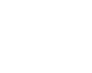 Wiesbauer